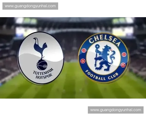 英超直播网站大全免费看球赛实时高清指南推荐与使用技巧分享